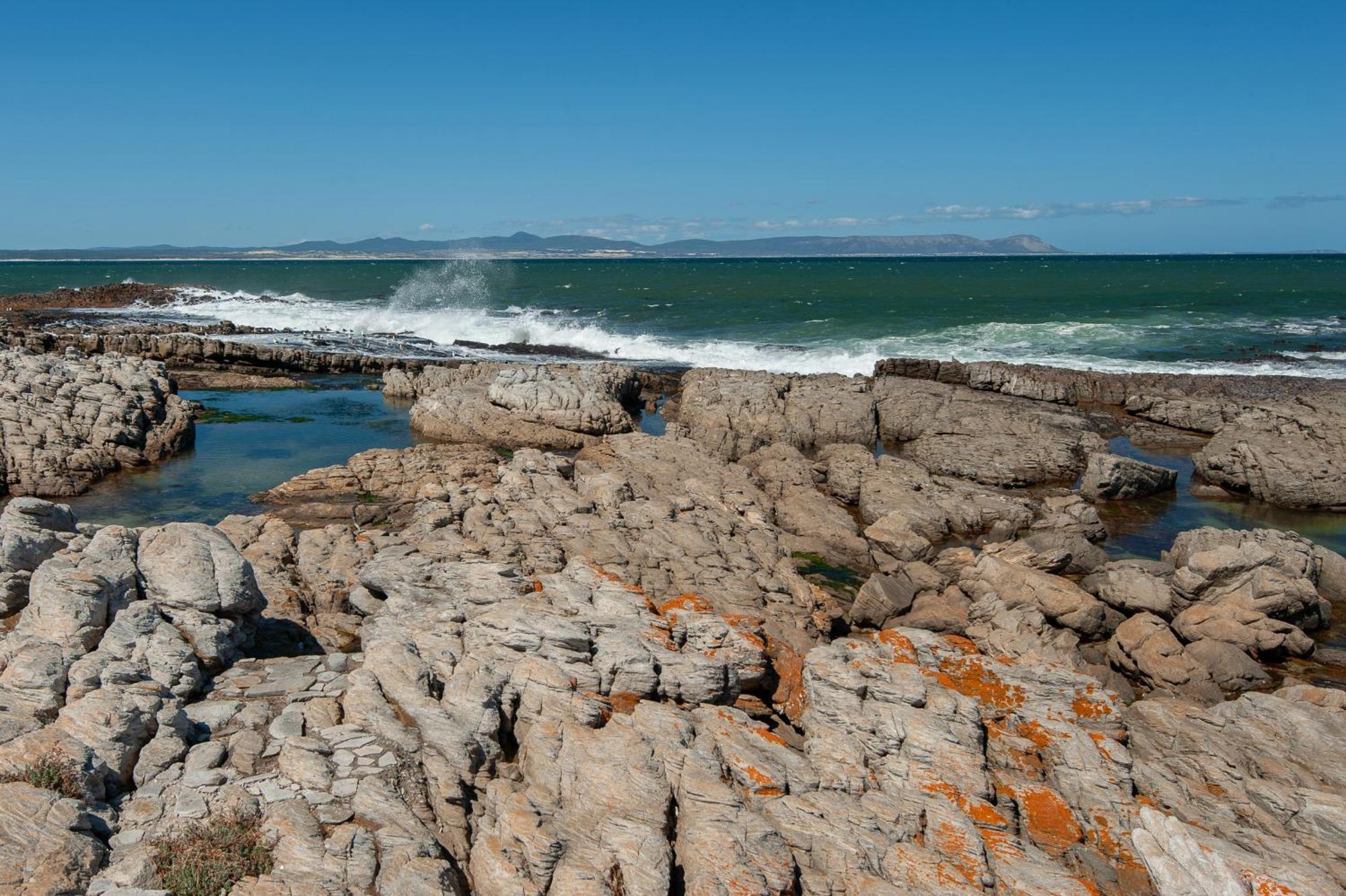 63 Whalerock Estate Apartment Hermanus Ngoại thất bức ảnh