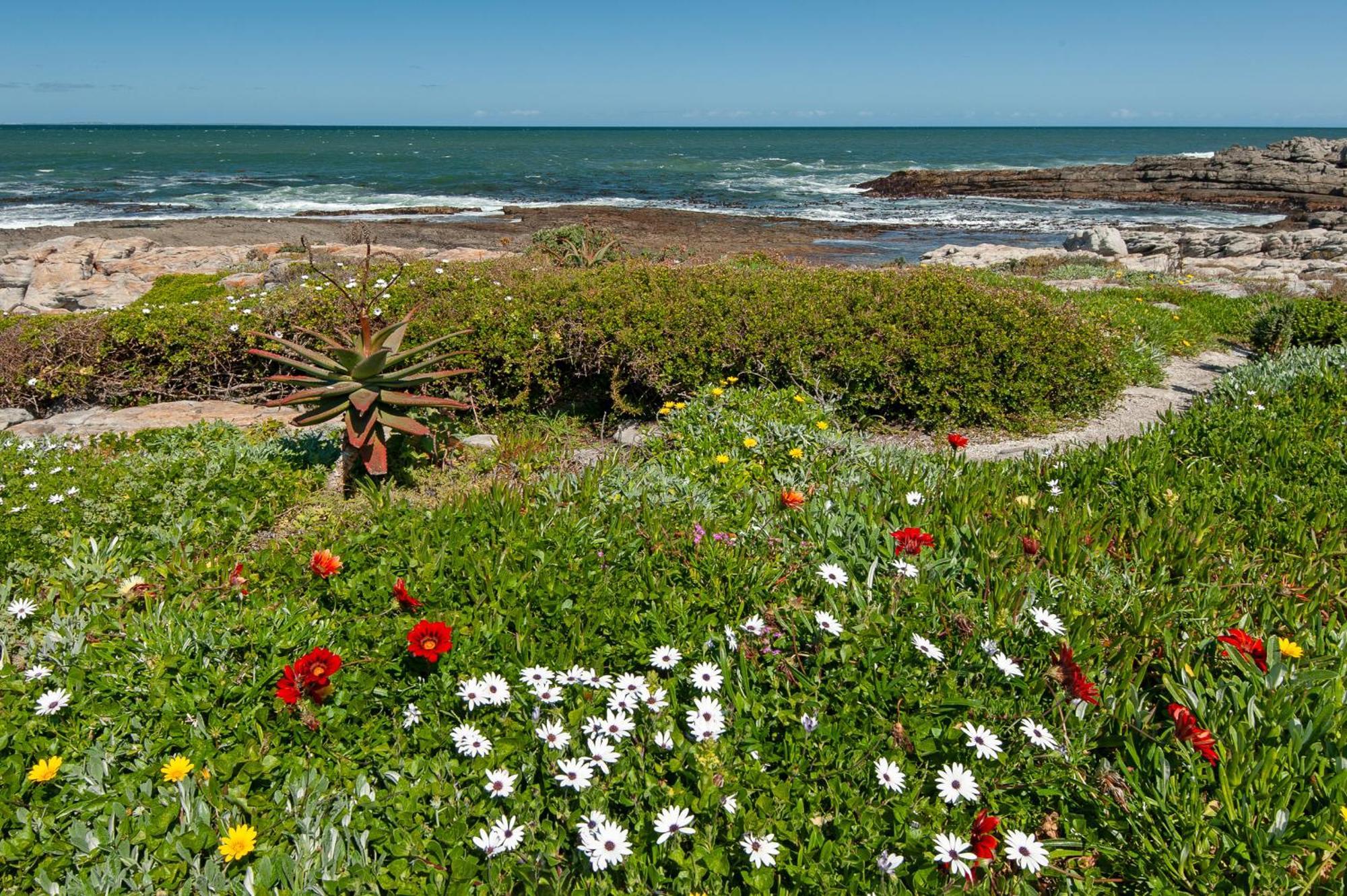 63 Whalerock Estate Apartment Hermanus Ngoại thất bức ảnh